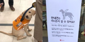 롯데마트 불매운동 의식했나 전점 입구에 “안내견 가능” 부착