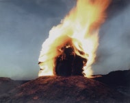 장르·재료 불문, 미술의 관습에 맞서온 독보적 60년