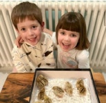 “슈퍼서 사온 ‘메추리알’ 진짜 부화시켜봤어요”