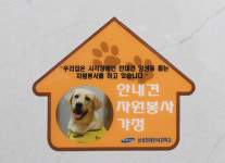 우린 개가 아닙니다, 누군가의 ‘눈’입니다