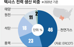 ‘텍사스 1100만원 전기료’ 뒤 에너지 민영화 그늘