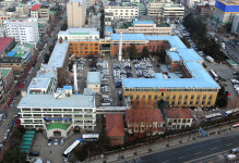 “젊었던 내 공무원 추억이”…옛 청사 향나무 훼손에 충남도 허탈