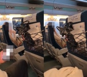 KTX서 햄버거 먹던 女, 제지 당하자 “우리 아빠 누군지 알아?”