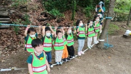 얘들아~ 강북 잣나무 숲에서 그물 타고 놀자