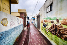 세상이 뭐라해도,뭐라 하지 않는 있는 그대로의 섬