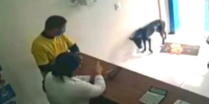 [여기는 남미] ‘아파요’ 제 발로 동물병원 찾아간 유기견 사연