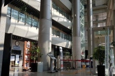 마포구청, 실내 정원 품은 녹색 청사로 ‘변신’