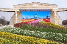 그 때 그 ‘자연농원’ 기억하시나요