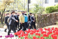 동네 길 숲길, 숨은 길 골목길… 마포 산책, 봄날 여행길입니다