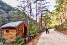 천혜의 숲·계곡·바다가 어우러졌다… 삼척, 휴양·힐링도시 각광