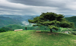 엮고 꿰니 풍경 와우… 찍고 먹고 핫플 원더풀