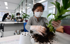 [서울포토]경로당·노인복지관 프로그램 운영 재개