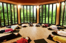 고된 삶이 할퀸 며느리인 듯 당당히 버텨낸 엄지척인 듯