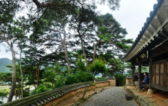 친정 찾은 그날처럼 시름마저 품어주네