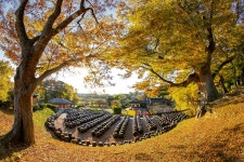 ‘윤석열 조상’ 고택, ‘호텔 델루나’ 나무…충남 관광지 100선