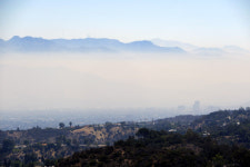 폭죽에 산불났네… 美 독립기념일 후유증