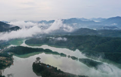 멍하니, 가만히… 대청에 호며들다