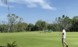 멕시코 골프장서 거대 악어 어슬렁어슬렁…몸길이 4.5m 추정