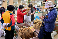 “코로나에 특효라더니”…비대면에 굴욕 당한 인삼