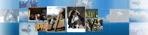 이준석 대표가 업수이 본 ‘동물의 왕국’, 프로그램 보는 눈이 없구나