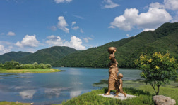 작품이 된 들꽃…‘소확행’ 가을이 왔다