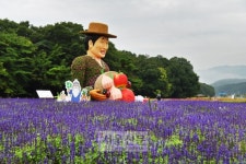 일년 단 한 번… 고운 별빛이 내린다