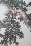 신은섭 개인전, ‘pine tree-올려보기’전 개최