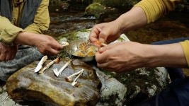 풍성한 가을… 농어민의 정성·손맛이 빚는 ‘밥 한 그릇’의 세계로