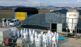 무시험 특채에도 외면… 가축방역관 어디 없소?