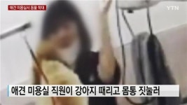 “가위 있어 상처 안 내려고”…강아지 때리고 학대한 애견 미용실