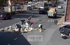 [따뜻한 세상] 과일 상자 쏟아지자 도로에 뛰어든 부산 시민