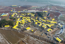 신안 섬마을 컬러마케팅 “눈에 띄네”