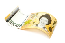 “반려견 목줄 안했네요” 경찰에 5만원으로 무마하려다 벌금 300만원