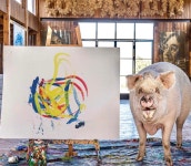 “피카소같다” 3100만원에 팔린 그림…작가는 5살 돼지