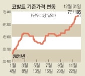 희소자원 매장 편중·中 영향력 절대적… 탄소중립 둘러싼 ‘광물 전쟁’