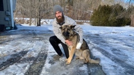 “따라오세요!” 경찰 신고(?)한 美 반려견…음주사고로 죽을 뻔한 주인 살려