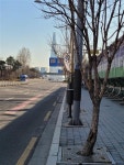 아파트 울타리에 남았을까… ‘호랑이 등’에 올랐던 태종·세종의 꿈