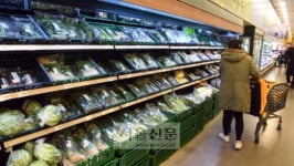 물가상승률 10년 만에 최고… OECD와 비교하면 ‘선방’