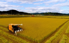 [달콤한 사이언스] 오존 오염에 동아시아 농업손실 75조원
