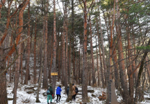 울끈불끈 솟은 마천루, 설산의 神 깨어나다