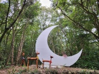 동화나라가 된 제주 곶자왈