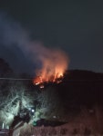 [속보]여수서 산불…공동묘지 인근서 시작