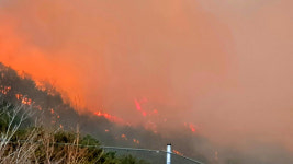 [포토인사이트] 경북 울진 산불, 강풍에 북진...삼척까지 확산