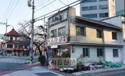 진해에 벚꽃을 지우니… 철길 위 고운 풍경 달린다