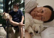 ‘토리아빠·나비집사’ 윤석열 당선인, 취임 시 7마리 ‘퍼스트 펫츠’ 탄생