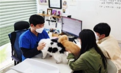 성동구, 취약계층에 반려동물 필수 의료 지원