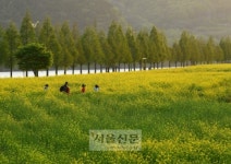 굽이굽이… 너만의 이야기가 돋았다