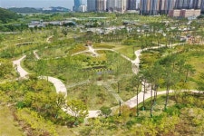 LH ‘탄소상쇄 숲’ 확대… 올해 15개 지구 등 조성