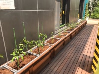 텃밭 가꾸며 생태감수성 ‘쑥쑥’…영등포구, 어린이집 상자텃밭 설치 지원