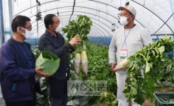 귀농의 꿈 심고, 자유의 쉼 얻고, 농사의 맛 보다[포토다큐]